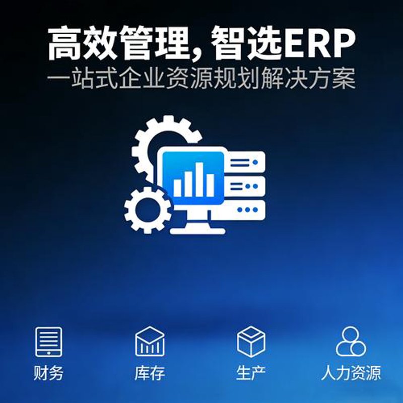 企业管理系统定制：提升效率的智能伙伴
